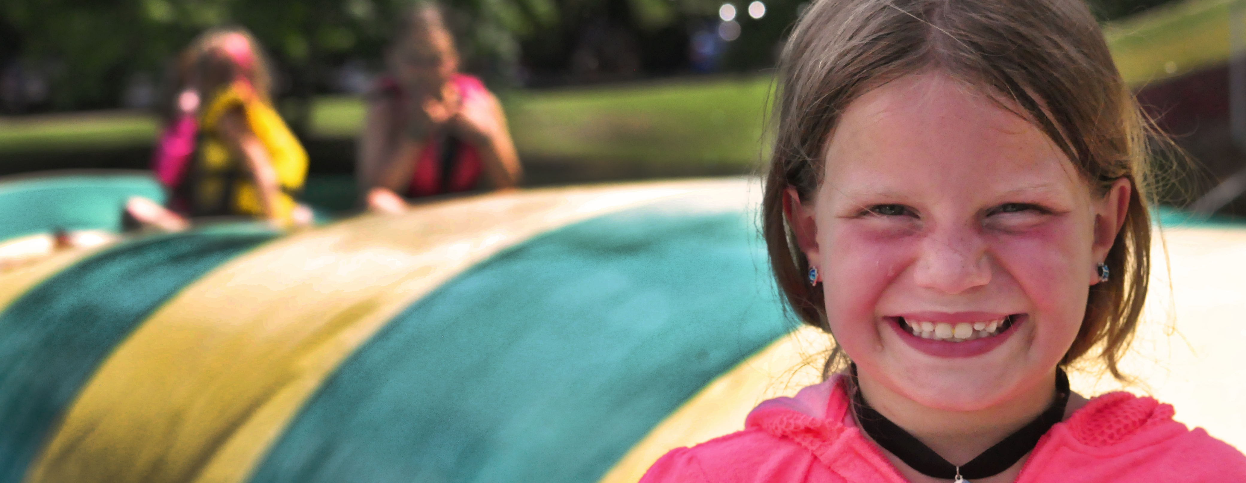 How the Critter Saved Summer