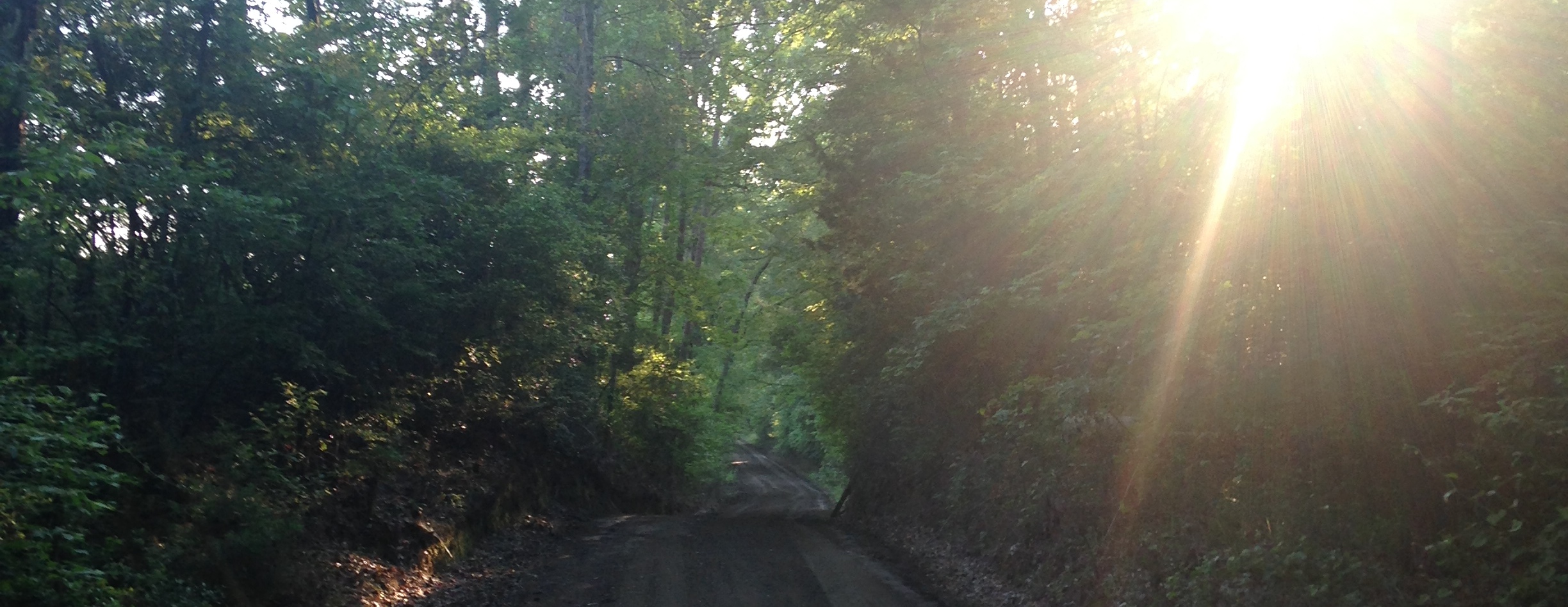 We were made to play outdoors, and run the Camp road.