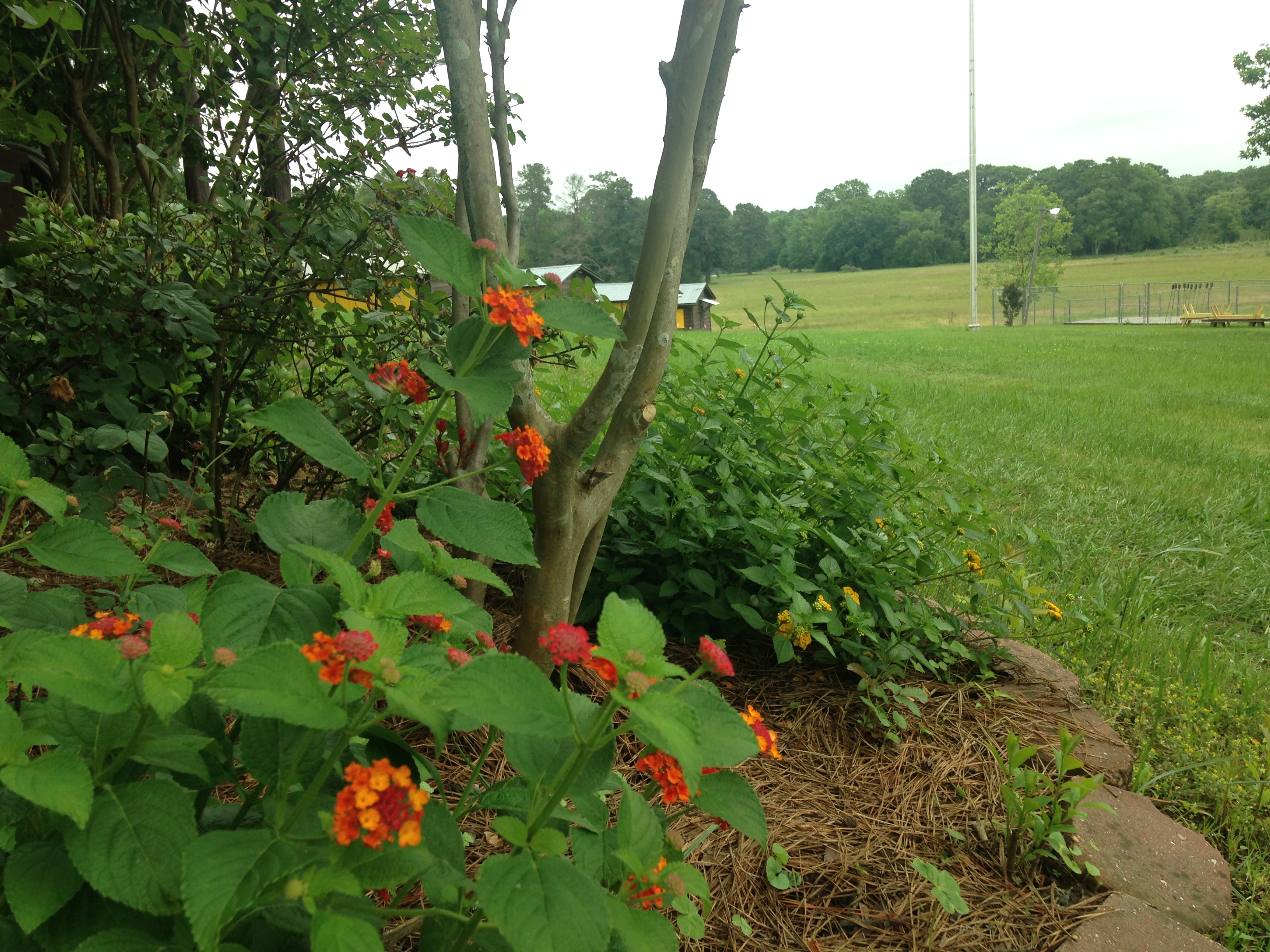 Campus Update #4